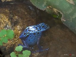 Tiergarten Schönbrunn am 23.03.2023